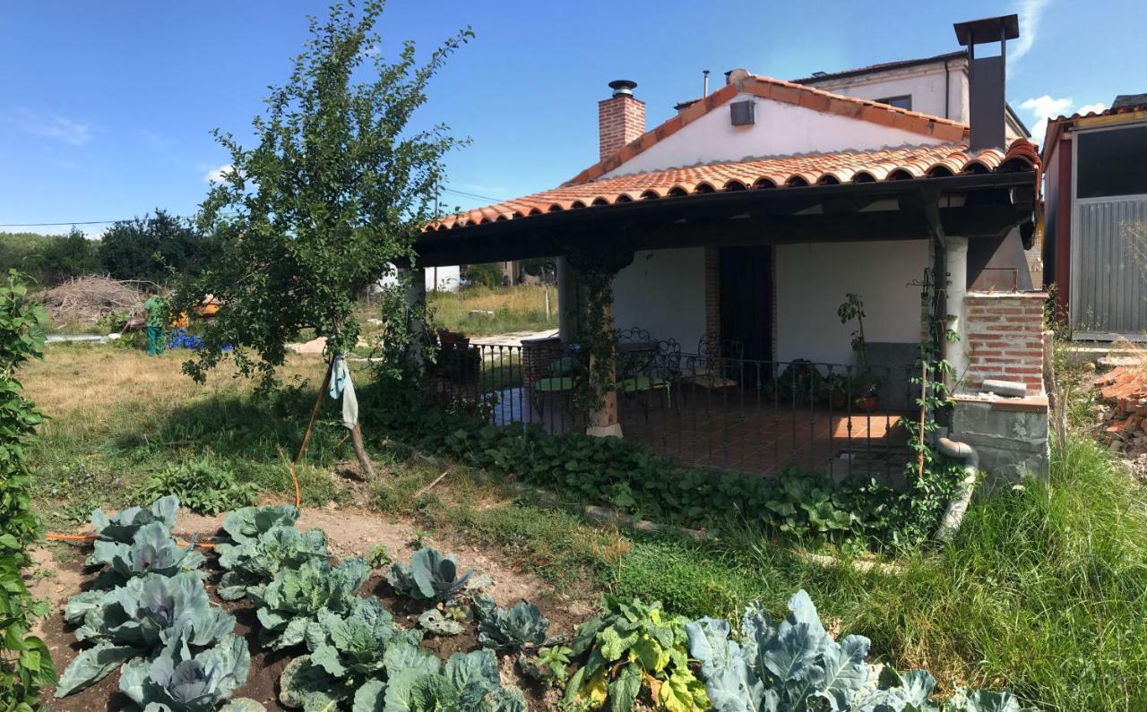 Casa De Pueblo Con Merendero Alquilable Opcionalmente Casarejos Kültér fotó